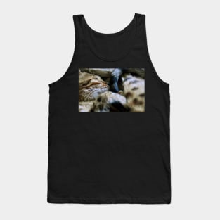 Katze /  Swiss Artwork Photography Tank Top